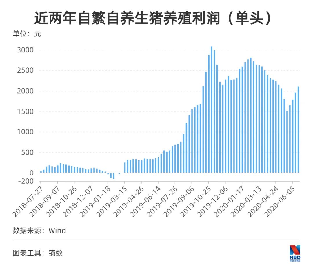 最强猪周期调查：一头赚3000 农校生月薪2万不算高